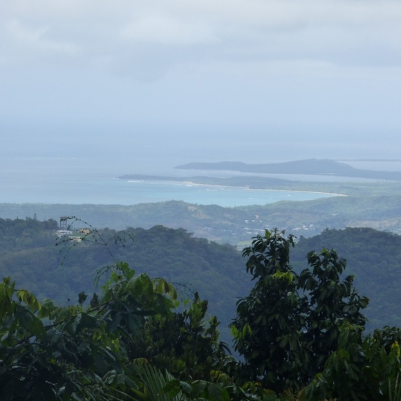 Meet your Posher, Crystal - Picture 6 of 8